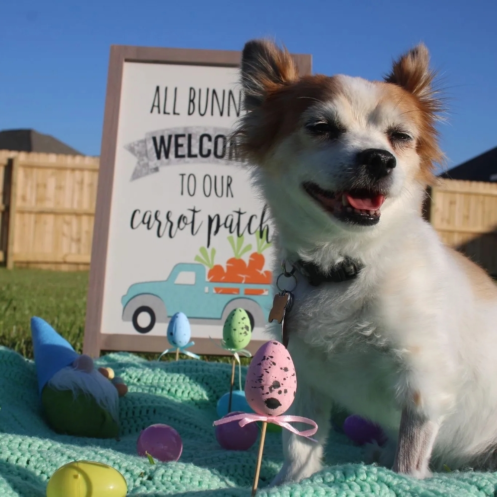 Meet your Posher, Melisa